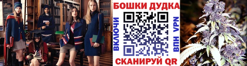 Где продают наркотики Волгореченск Конопля  hydra ссылка  Мефедрон  Alpha PVP 