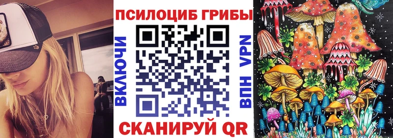 Псилоцибиновые грибы GOLDEN TEACHER  купить наркотик  Волгореченск 